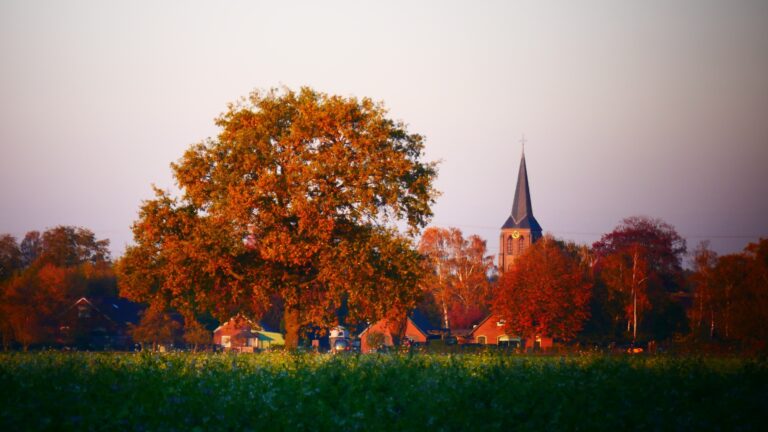 foto cursus bestuursleden – Van Werner Redlich via Pixabay -pass-4616752